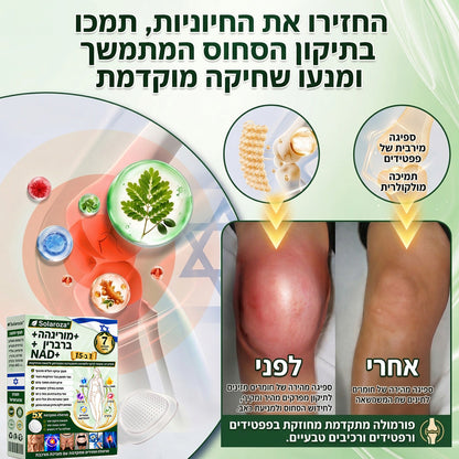🎁חנות רשמית | 🍋 Solaroza® Moringa & Berberine 10-IN-1 Advanced Nano Microneedle 1 Patch (פעם ביום, שינויים ניכרים תוך 7 ימים) ✅ השמנת יתר, סוכרת, דום נשימה בשינה, ובעיות מפרקים